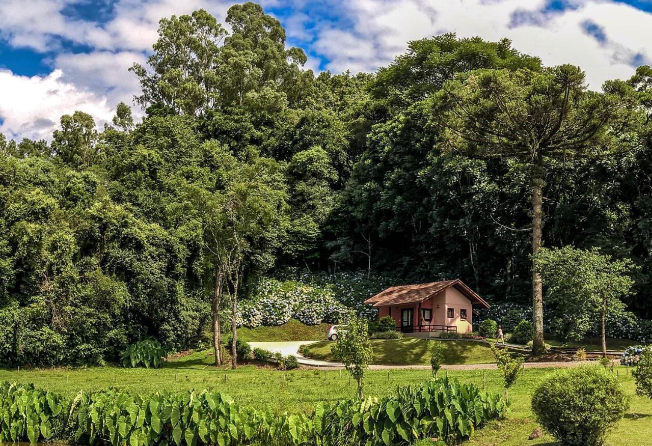 Pousada Pinhal Alto Nova Petropolis Exterior foto
